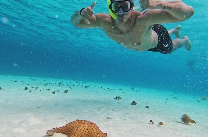 Cozumel's Reefs in El Cielo, Palancar and Columbia Guided Tour - Weather and cancellation rules matter in Cozumel