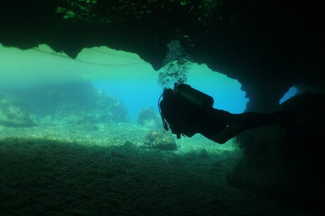 Cozumel Scuba Dive at Chankanaab - Chankanaab Reef at beginner-friendly depths