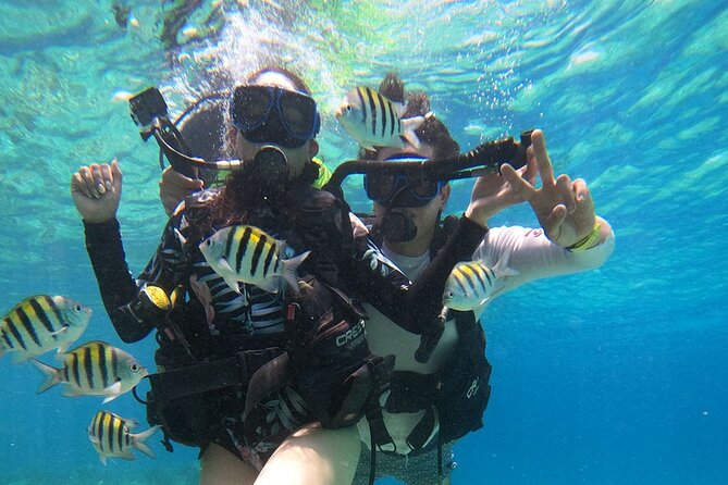 Cozumel Scuba Dive at Chankanaab - Statues, caves, and the Balones area