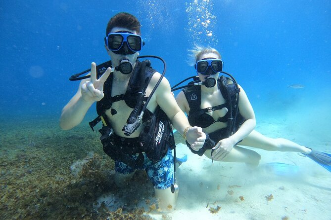 Cozumel Scuba Dive at Chankanaab - How the guides handle first-timers