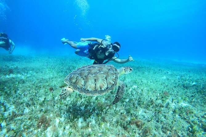 Cozumel Scuba Dive at Chankanaab - What the $85 price includes
