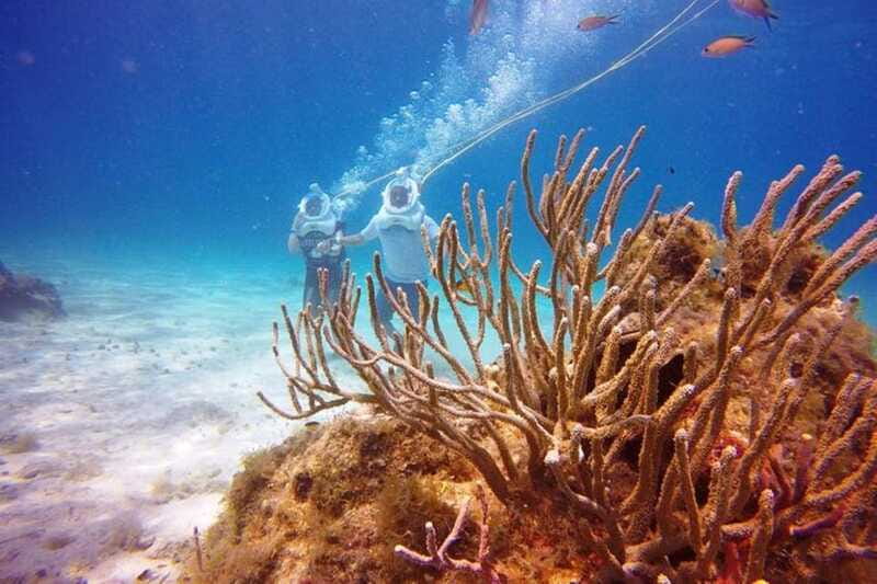 Cozumel: Sea Trek Adventure at Chankanaab National Park - Cost, park admission, and overall value