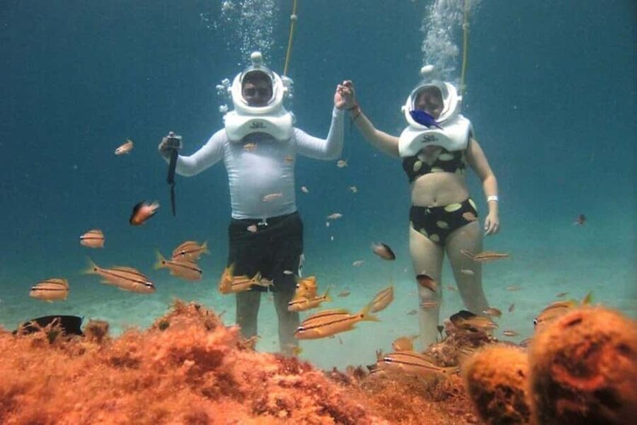 Cozumel: Sea Trek Adventure at Chankanaab National Park - What happens during the two-hour outing
