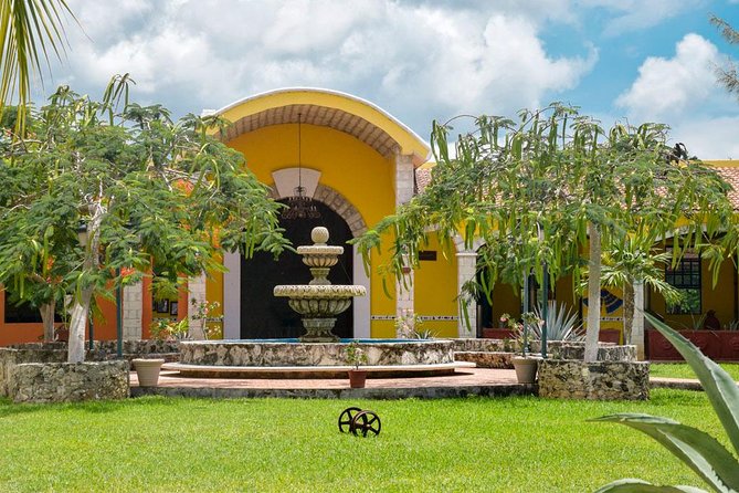 Cozumel Shore Excursion: 5-Hour Sightseeing Tour with Private Driver - Tequila at Mi Mexico Lindo