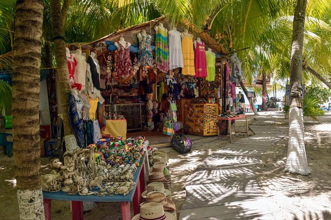Cozumel Shore Excursion: 5-Hour Sightseeing Tour with Private Driver - El Mirador and the quieter east coast