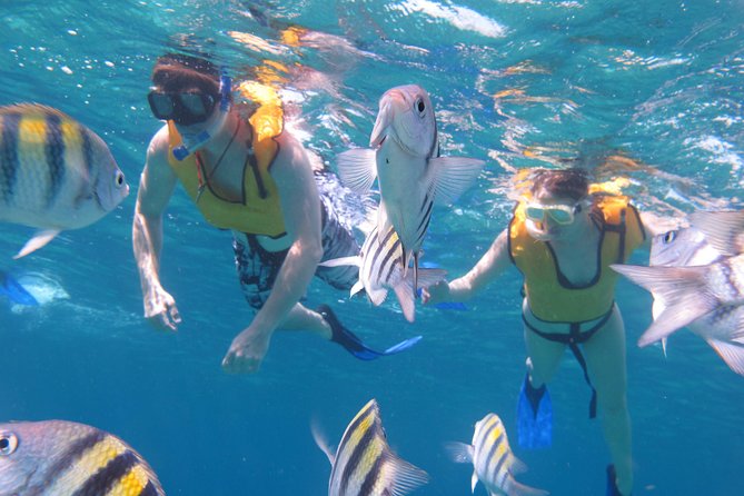Cozumel Shore Excursion: Playa Uvas Private Beach Pass - Lunch and drinks give the pass much of its value