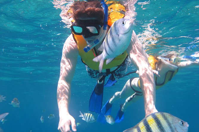 Cozumel Shore Excursion: Playa Uvas Private Beach Pass - Is the $48 price fair?