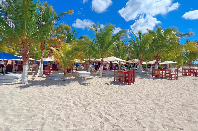 Cozumel: Shore Excursions for Royal Caribbean Cruise Passengers - The guide can make or break the day