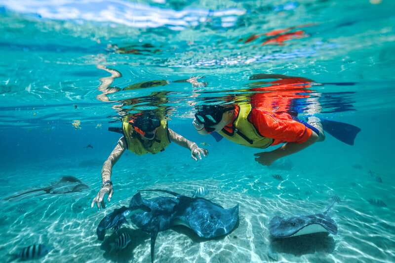 Cozumel: Snorkel and Swim with Stingrays - Snorkeling with rays and colorful fish