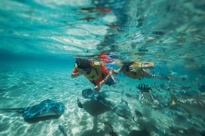 Cozumel: Snorkel and Swim with Stingrays - The first 30 minutes with stingrays