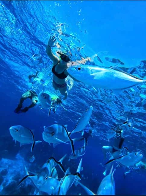 Cozumel: snorkeling on reefs + visit to "El Cielo" - Key points to know before you book