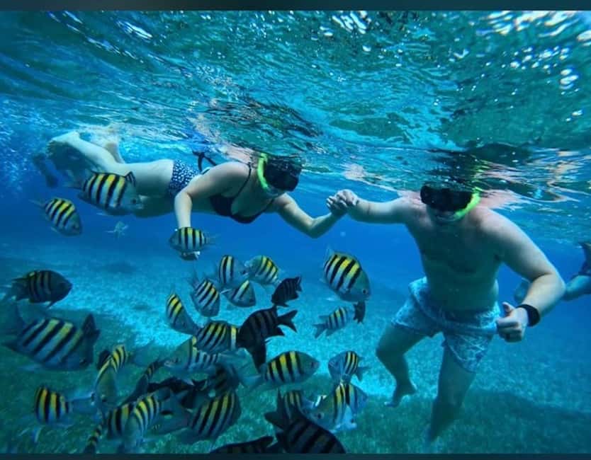 Cozumel: snorkeling on reefs + visit to "El Cielo" - Three water stops, three different moods