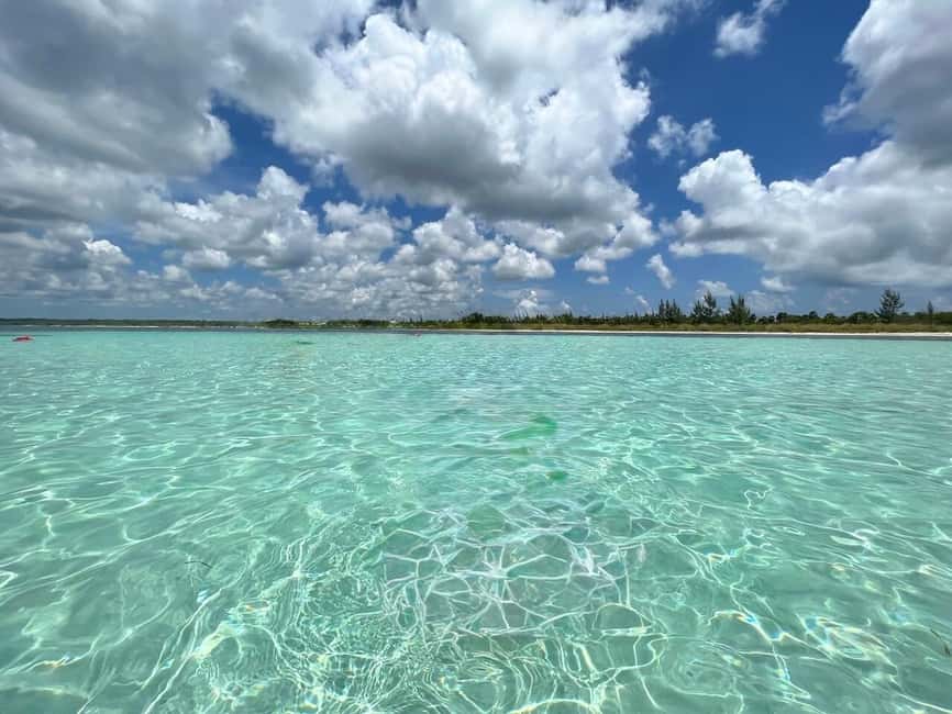 Cozumel: snorkeling on reefs + visit to "El Cielo" - El Cielo: starfish in shallow Caribbean water