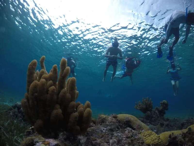 Cozumel: snorkeling on reefs + visit to "El Cielo" - The real price: cheap, but check the payment details