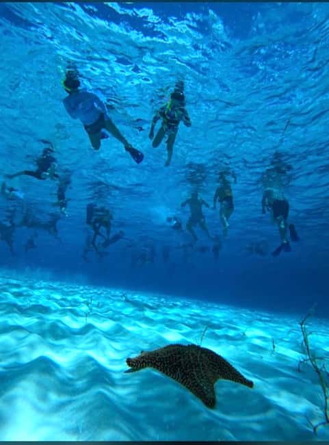 Cozumel: snorkeling on reefs + visit to "El Cielo" - Palancar Reef: coral shapes and Caribbean fish