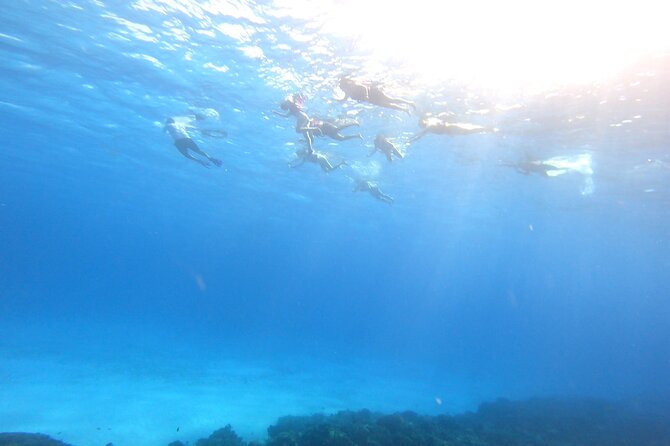 Cozumel Snorkeling Reef Experience with Ceviche and Beers - Ceviche, totopos, and a cold beer after the water
