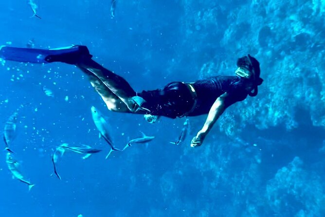 Cozumel Snorkeling Reef Experience with Ceviche and Beers - What the $129 price really buys