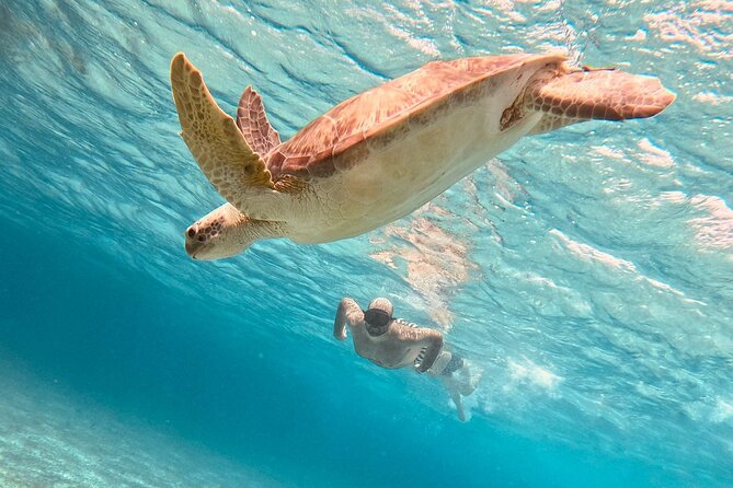 Cozumel: Snorkeling to El Cielo & Cielito with drinks & Snack - Key points at a glance