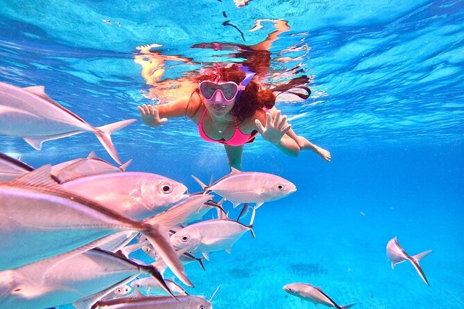 Cozumel: Snorkeling to El Cielo & Cielito with drinks & Snack - What the $65.46 price covers