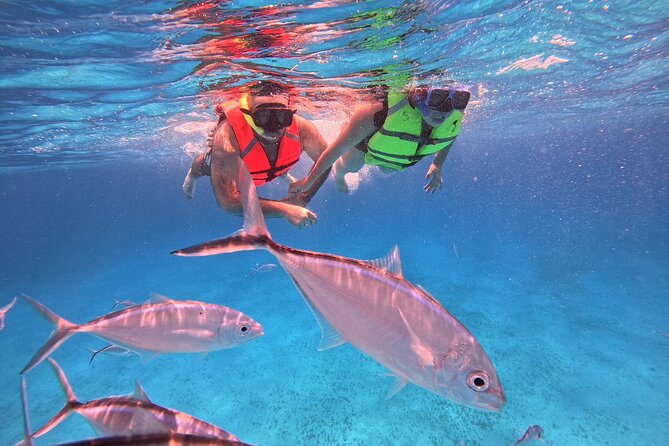 Cozumel: Snorkeling to El Cielo & Cielito with drinks & Snack - Meeting at Aqua Safari Pier