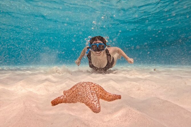 Cozumel: Snorkeling to El Cielo & Cielito with drinks & Snack - Cielito adds stingrays, lunch, and drinks