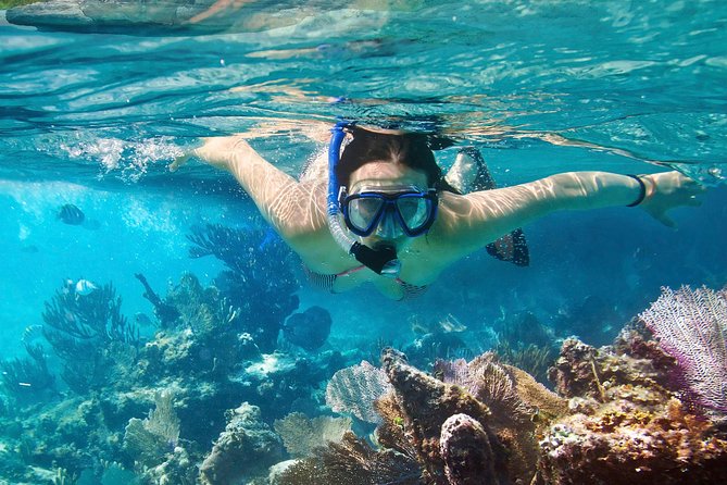 Cozumel Snorkeling Tour at Palancar & Colombia Reefs and El Cielo - What the boat ride is really like