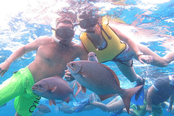 Cozumel Snorkeling Tour at Palancar & Colombia Reefs and El Cielo - Is $59.49 a fair price?