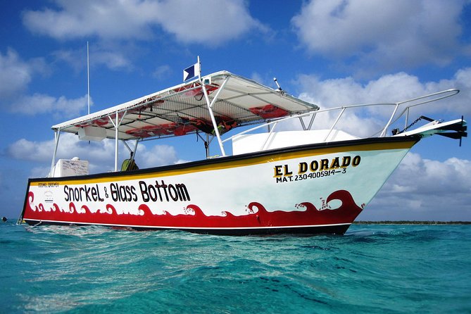 Cozumel Snorkeling Tour at Palancar & Colombia Reefs and El Cielo - Timing matters for cruise passengers