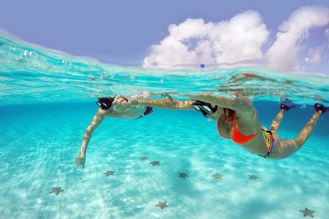 Cozumel Snorkeling Tour: Palancar, Columbia and El Cielo Reefs - Key points before you book