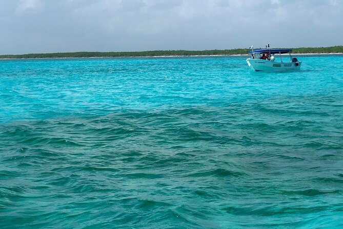 Cozumel Snorkeling Tour: Palancar, Columbia and El Cielo Reefs - Why these Cozumel reefs make a good half-day outing