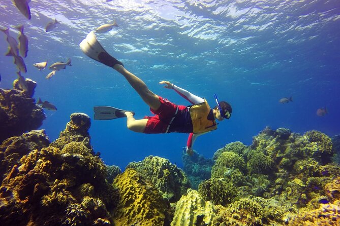 Cozumel Snorkeling Tour: Palancar, Columbia and El Cielo Reefs - Group size, guide communication, and equipment