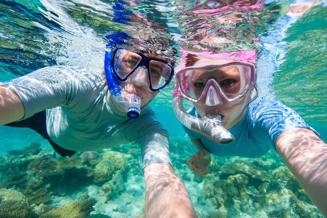 Cozumel Snorkeling Tour to Palancar Reef and El Cielo - Palancar Reef: the main underwater show