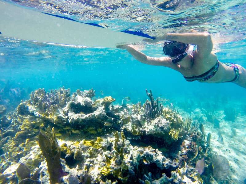 Cozumel: West Coast E-Bike and Snorkeling Tour - Riding Cozumel’s coastal bike path