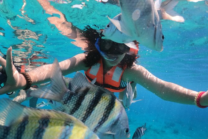 Crystal Boat Tour with Snorkeling and Drinks in Cozumel - Seeing Cozumel through a clear boat