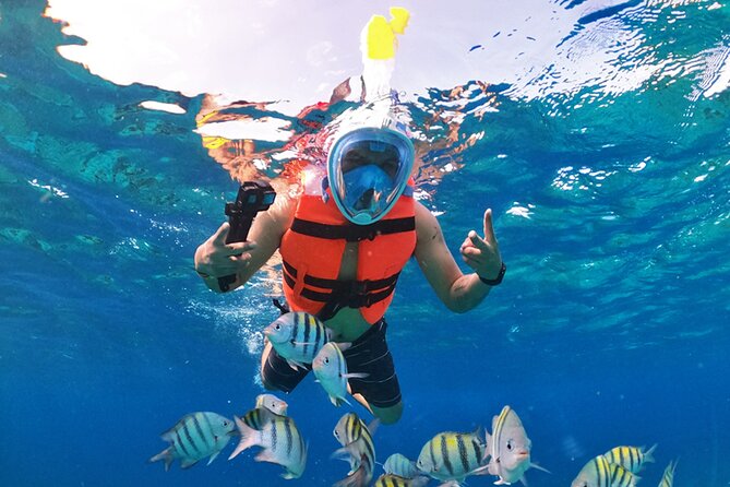 Crystal Boat Tour with Snorkeling and Drinks in Cozumel - Is $47.61 good value?