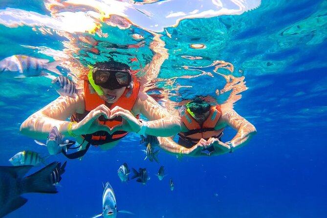 Crystal Boat Trip and Snorkeling Tour from Cozumel - Legos Reef is a quick introduction, not a full reef tour