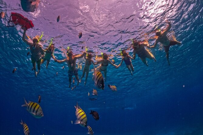 Crystal Boat Trip and Snorkeling Tour from Cozumel - What is included, and what the $24.70 price really means