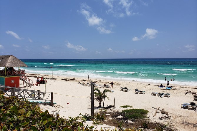 Customizable Private Buggy Tour in Cozumel with Lunch and Snorkel - Money Bar Beach Club for lunch and snorkeling