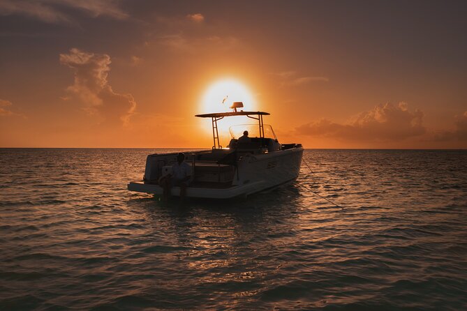 Deluxe Private Boats - 36 ft Fjord - Food and drinks that make the boat time count