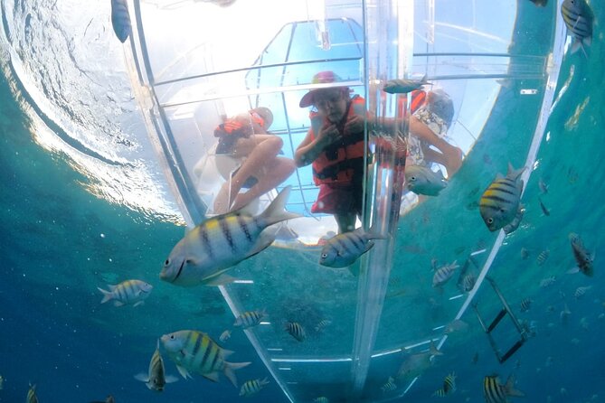 Discover Cozumel in a Transparent Boat! - Key Things to Know Before You Book