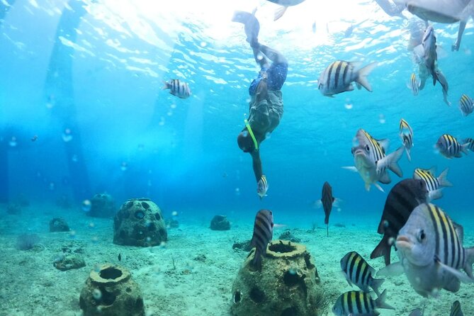 Discover Cozumel in a Transparent Boat! - Finding the Meeting Point in Central Cozumel