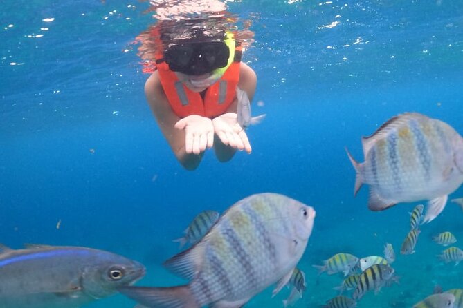 Discover Cozumel in a Transparent Boat! - Who Will Like This Cozumel Boat Tour