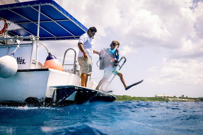 Discover Diving in the Reefs of Cozumel - Key points before you book