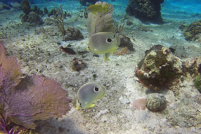 Discover Scuba Diving - Practicing at Tikila Beach