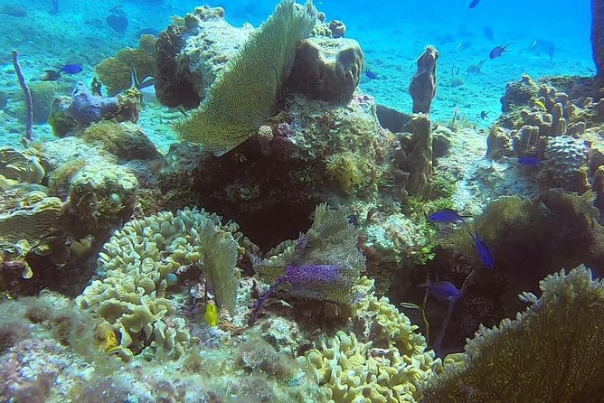 Discover Scuba Diving - What the $95 price buys you