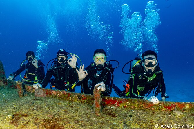 Discover Scuba Diving at Cozumel Marine Park - Learning the basics before entering the sea