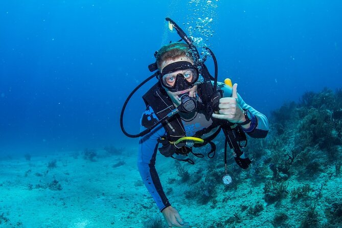 Discover Scuba Diving at Cozumel Marine Park - Two shallow sessions in Cozumel Marine Park