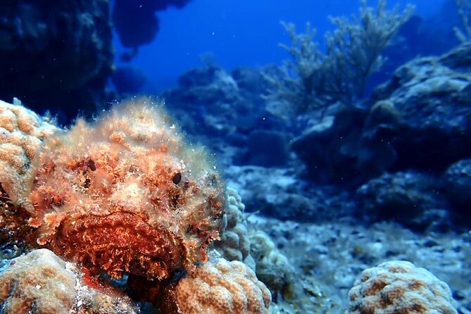 Discover Scuba Diving in Cozumel - Water temperature and comfort at the beach