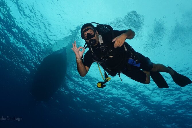 Discover Scuba Diving in Cozumel - Is $105 a fair price for this session?