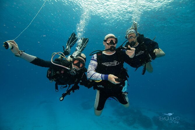 Discover Scuba Diving in Cozumel - Who should book this Cozumel experience?